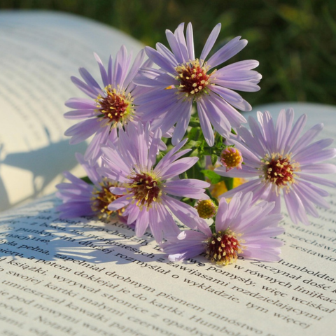 Psychiatric Rehabilitation